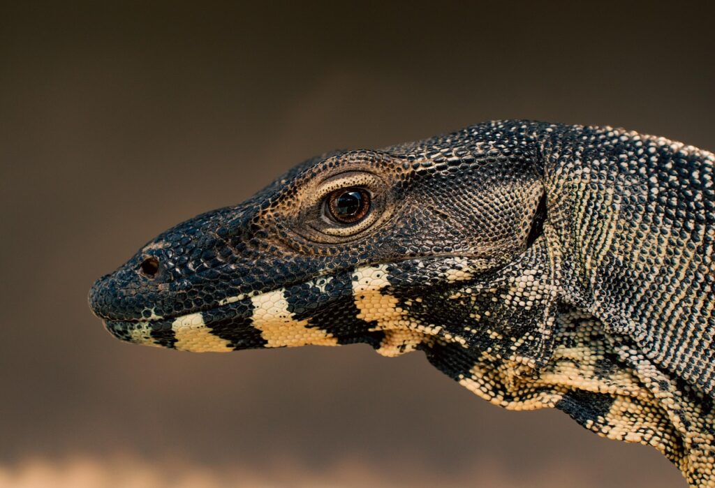 モニター調査とはどのような手法で実施されるのか？