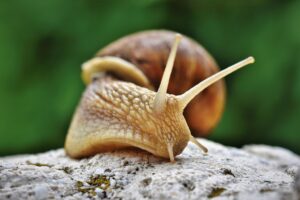 モニター調査の意味とは何かを徹底解説しますか？
