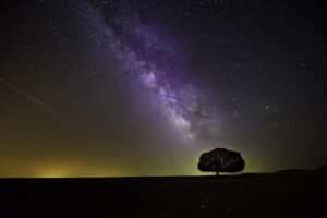 主婦が夜に稼げる資格なしの副業はどんなものがある？