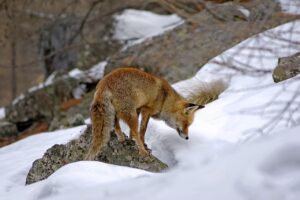 子育て中の主婦が夜に稼ぐ人の習慣とは？